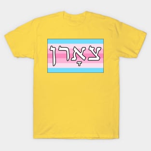 Tsorn - Wrath (Transfeminine Pride Flag) T-Shirt